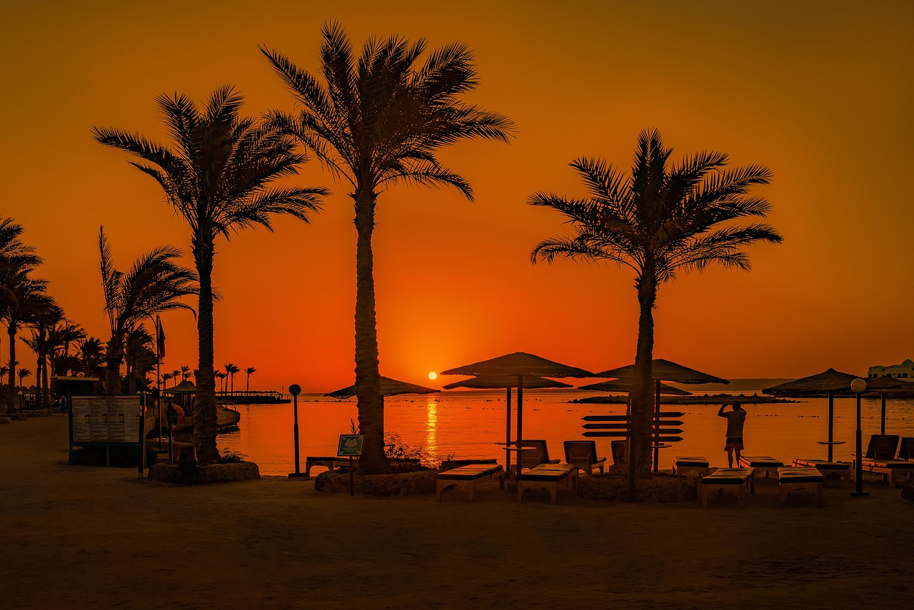 sunset, palm trees, beach, africa, egypt, sand, hurghada, red sea, water, sea, summer, tourism, nature, travel, lounger, hurghada, hurghada, hurghada, hurghada, hurghada